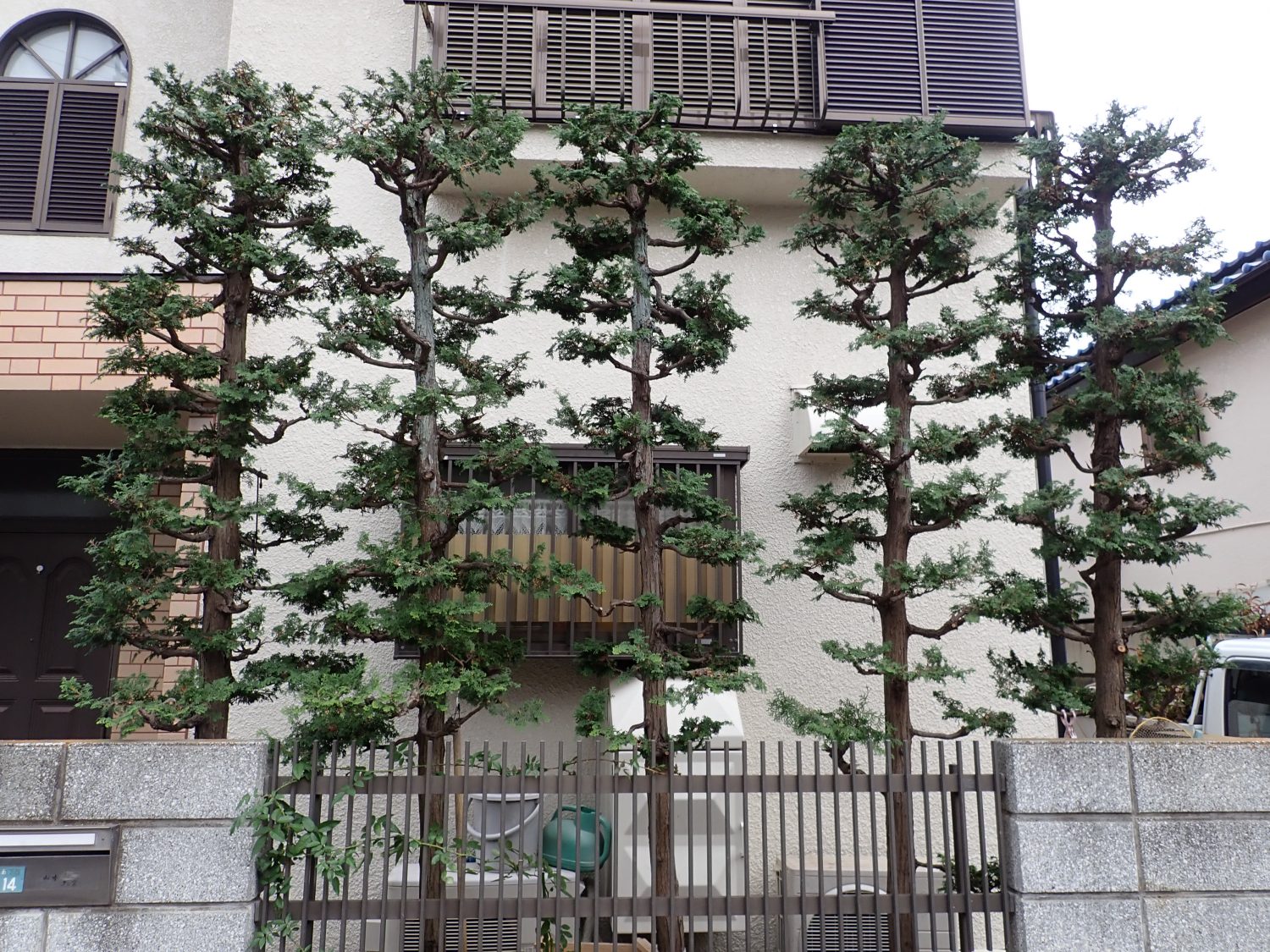 施工事例 西東京市で剪定 造園 植栽 お庭リフォームなら行橋園にお任せ